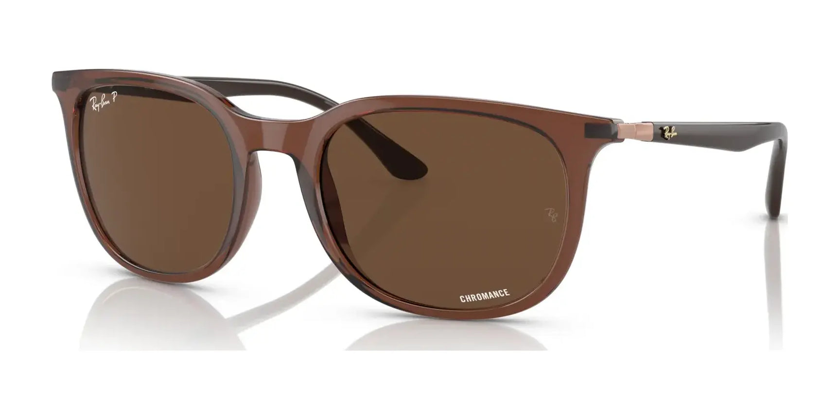 Ray-Ban RB4386F Sunglasses Transparent Brown / Brown (Polarized)
