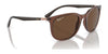 Ray-Ban RB4386F Sunglasses | Size 55 / Transparent Brown №6652AN / Brown (Polarized) (3P 12.6%)