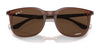 Ray-Ban RB4386F Sunglasses | Size 55 / Transparent Brown №6652AN / Brown (Polarized) (3P 12.6%)