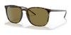 Ray-Ban RB4387 Sunglasses | Size 56 / Light Havana №710/73 / B-15 Brown (3N 13.5%)