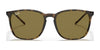 Ray-Ban RB4387 Sunglasses | Size 56 / Black №601/71 / Green (3N 12.9%)