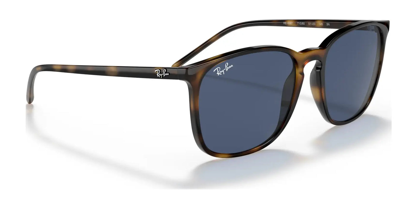 Ray-Ban RB4387 Sunglasses | Size 56