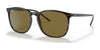 Ray-Ban RB4387F Sunglasses | Size 55 / Tortoise №902/73 / Brown Classic (3N 13.5%)