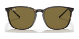 Ray-Ban RB4387F Sunglasses | Size 55