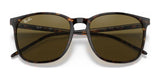 Ray-Ban RB4387F Sunglasses | Size 55