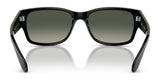 Ray-Ban RB4388 Sunglasses