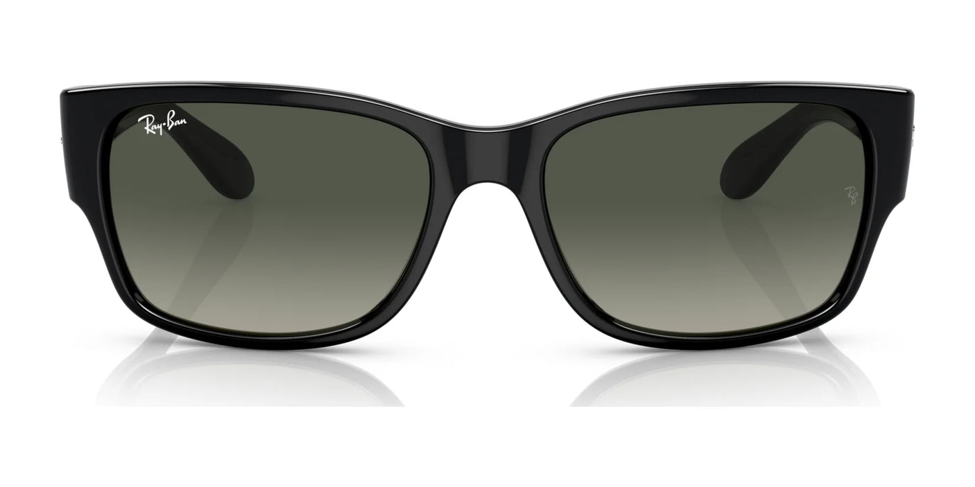 Ray-Ban RB4388 Sunglasses