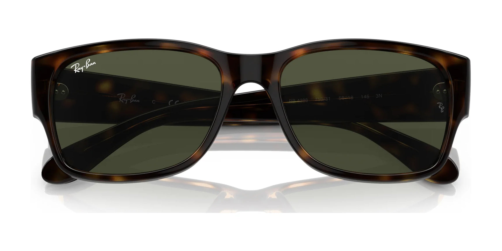 Ray-Ban RB4388 Sunglasses