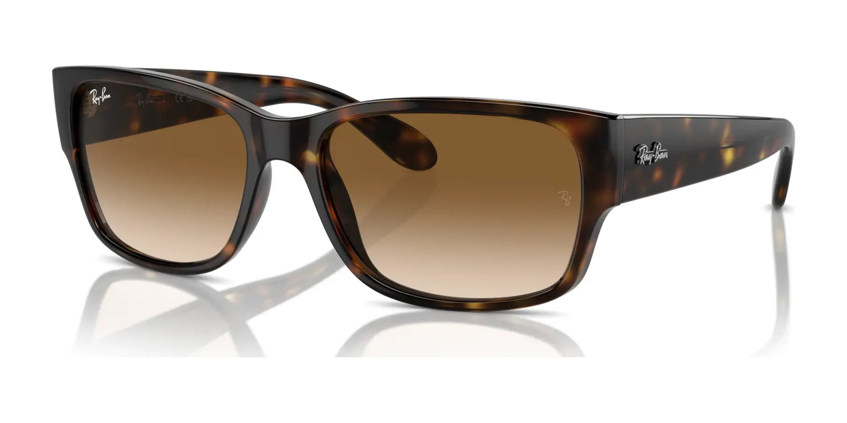 Ray-Ban RB4388 Sunglasses