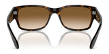 Ray-Ban RB4388 Sunglasses