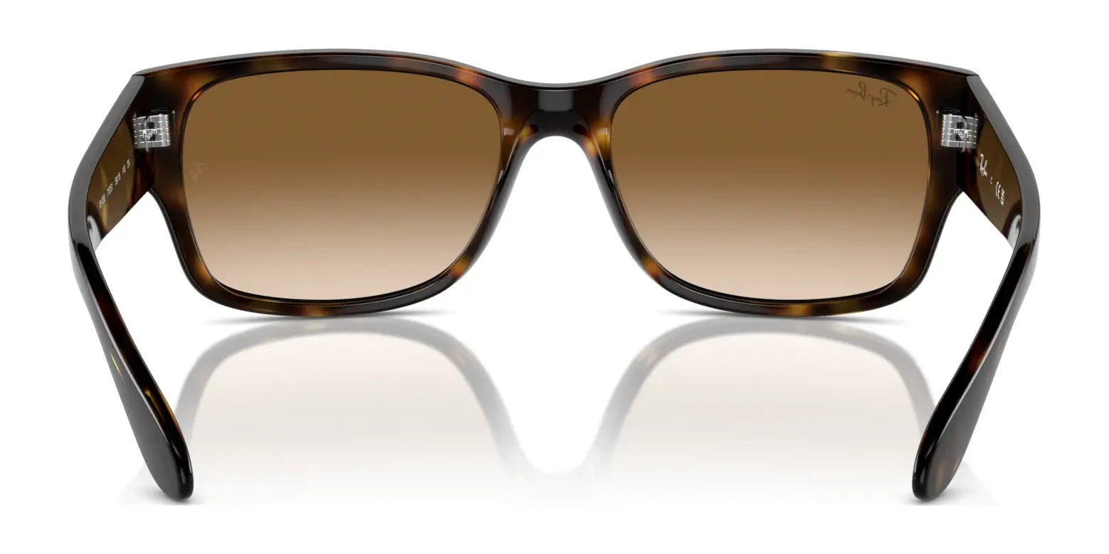 Ray-Ban RB4388 Sunglasses