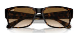 Ray-Ban RB4388 Sunglasses