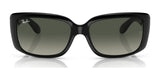 Ray-Ban RB4389 Sunglasses