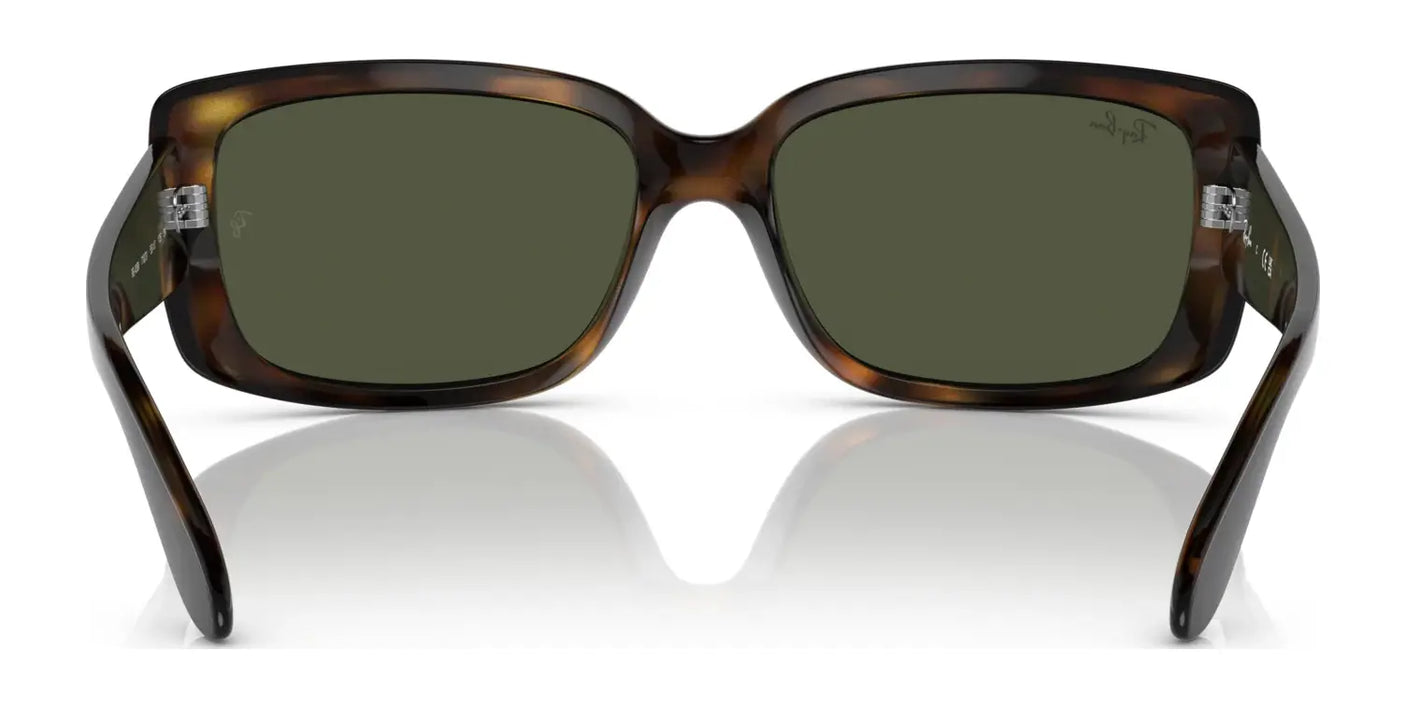 Ray-Ban RB4389 Sunglasses