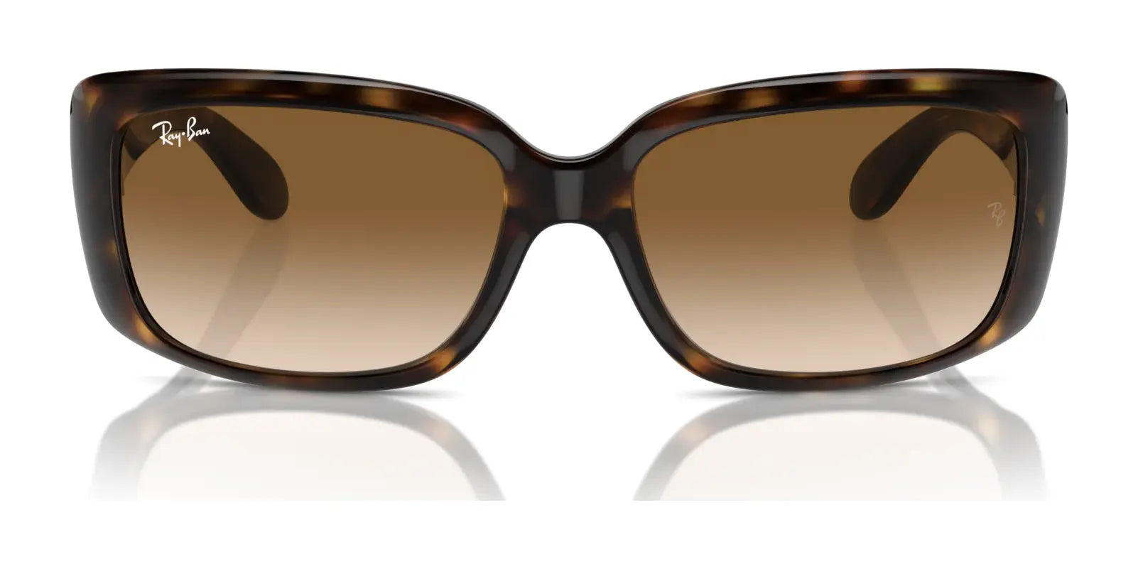 Ray-Ban RB4389 Sunglasses