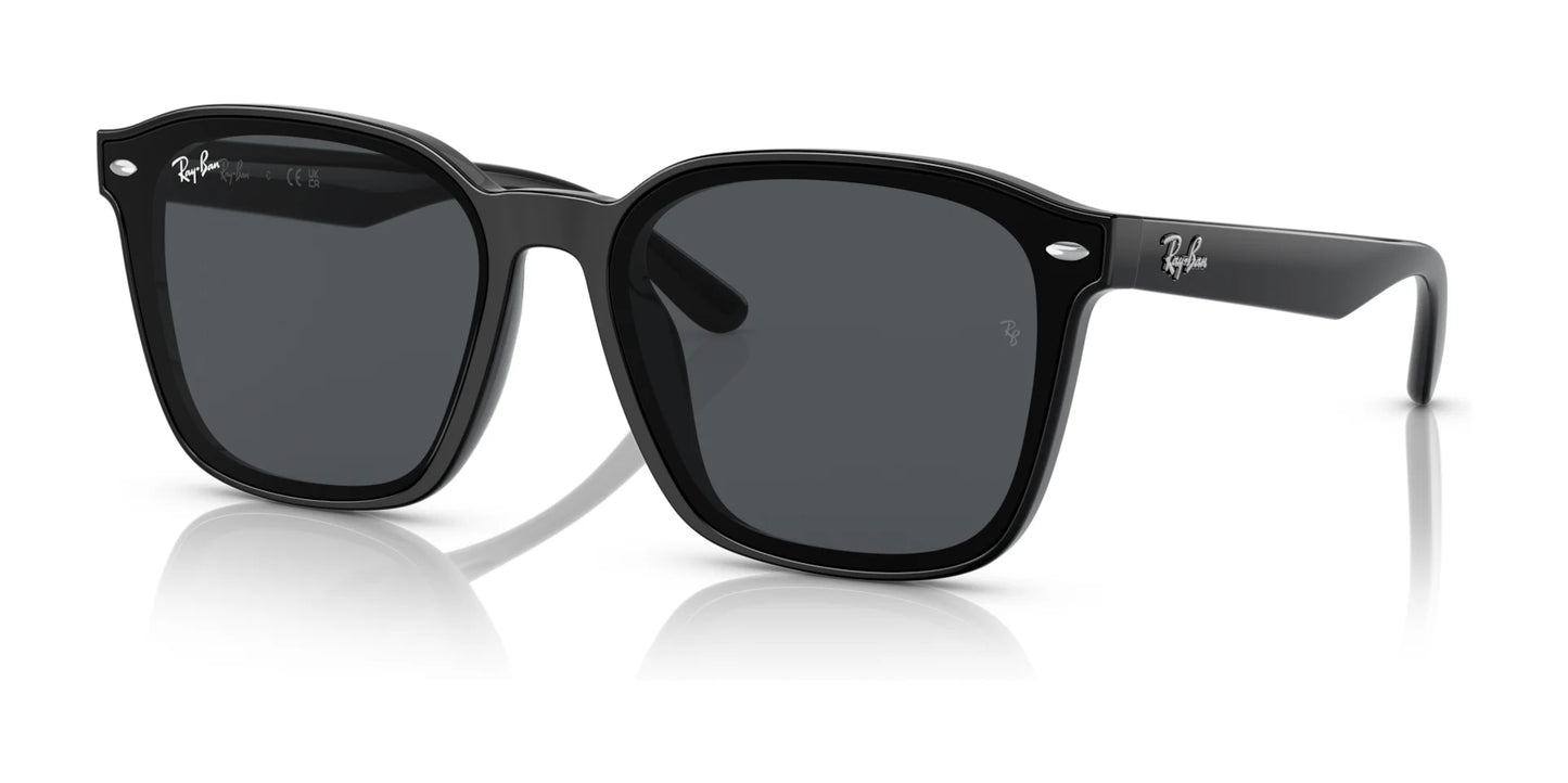 Ray-Ban RB4392D Sunglasses | Size 66