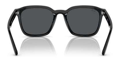 Ray-Ban RB4392D Sunglasses | Size 66