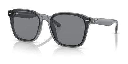 Ray-Ban RB4392D Sunglasses Transparent Grey / Grey