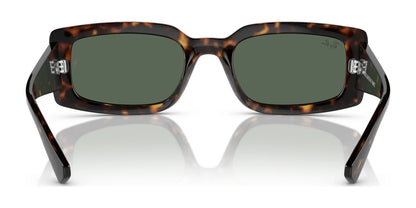 Ray-Ban KILIANE RB4395 Sunglasses | Size 54