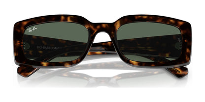 Ray-Ban KILIANE RB4395 Sunglasses | Size 54