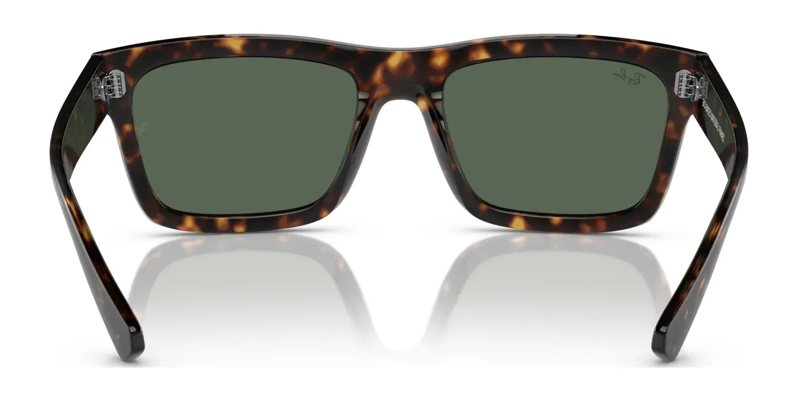 Ray-Ban WARREN RB4396 Sunglasses