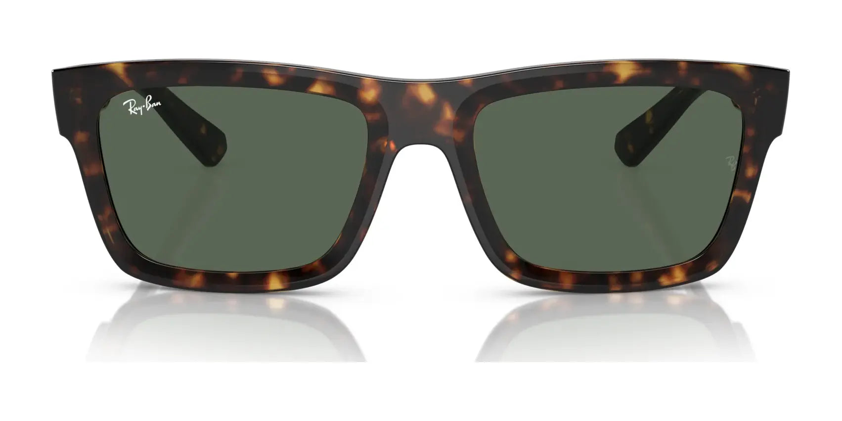 Ray-Ban WARREN RB4396 Sunglasses