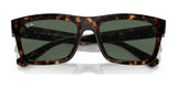 Ray-Ban WARREN RB4396 Sunglasses