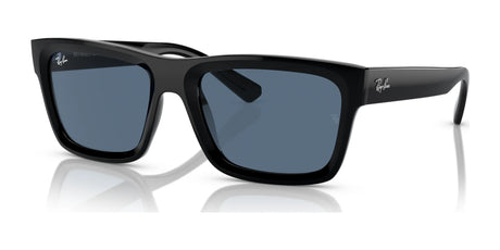 Ray-Ban WARREN RB4396 Sunglasses