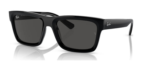 Ray-Ban WARREN RB4396 Sunglasses