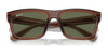 Ray-Ban WARREN RB4396 Sunglasses / Black №667771 / Dark Green (3N 14.3%) / Size 54