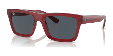 Ray-Ban WARREN RB4396 Sunglasses