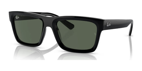 Ray-Ban WARREN RB4396F Sunglasses | Size 57