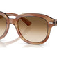 Striped Brown №140351