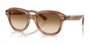 Ray-Ban ERIK RB4398 Sunglasses / Striped Brown №140351 / Clear Gradient Brown (2N 30.5%) / Size 51