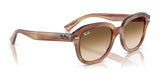 Ray-Ban ERIK RB4398 Sunglasses