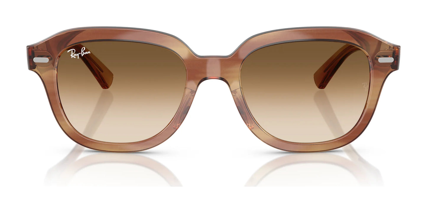 Ray-Ban ERIK RB4398 Sunglasses