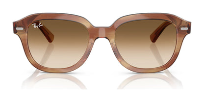 Ray-Ban ERIK RB4398 Sunglasses