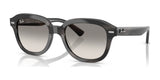 Ray-Ban ERIK RB4398 Sunglasses