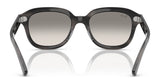 Ray-Ban ERIK RB4398 Sunglasses