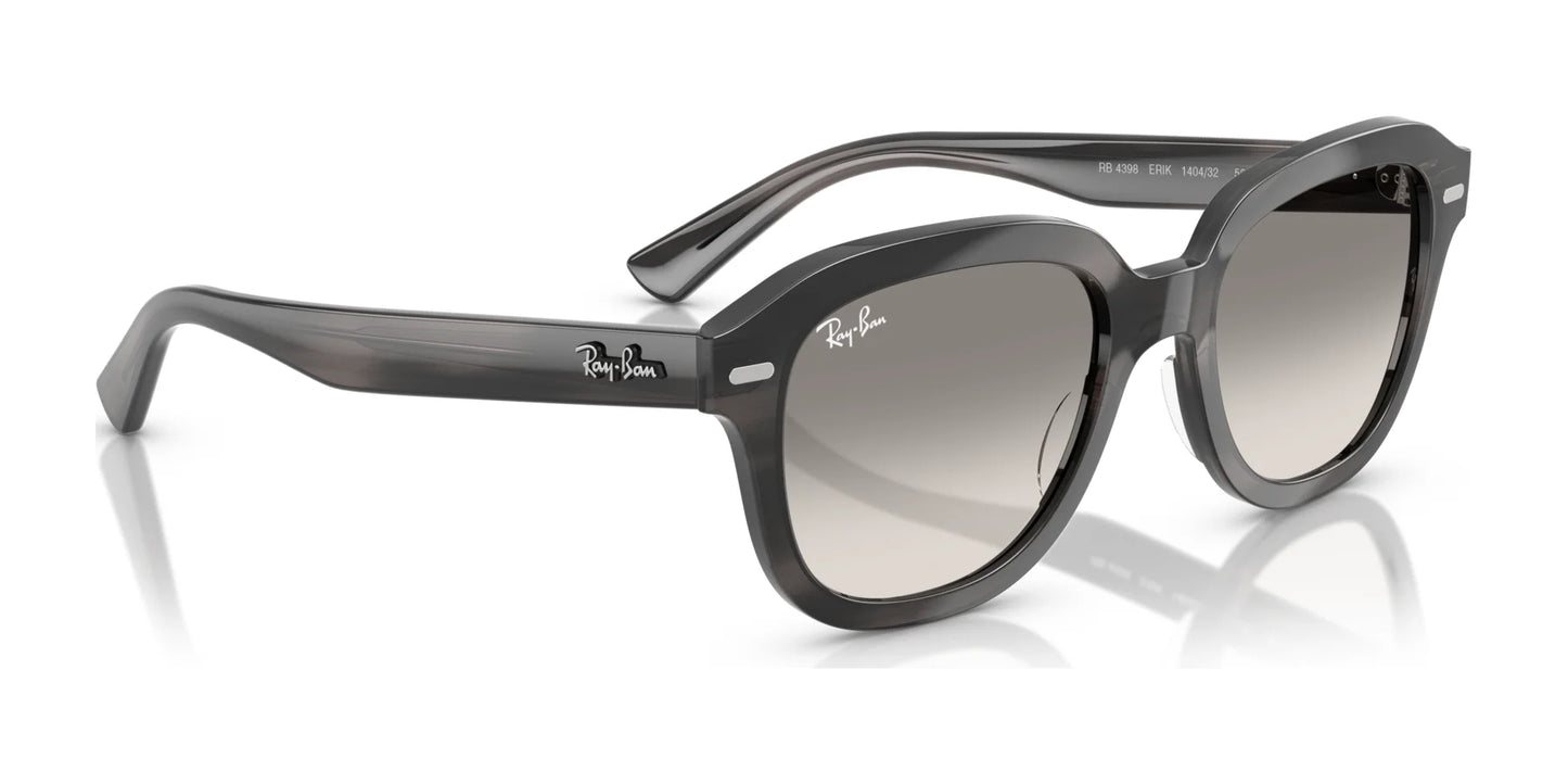 Ray-Ban ERIK RB4398 Sunglasses