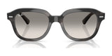 Ray-Ban ERIK RB4398 Sunglasses