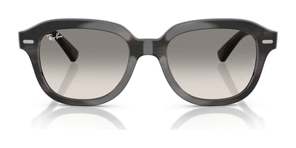 Ray-Ban ERIK RB4398 Sunglasses