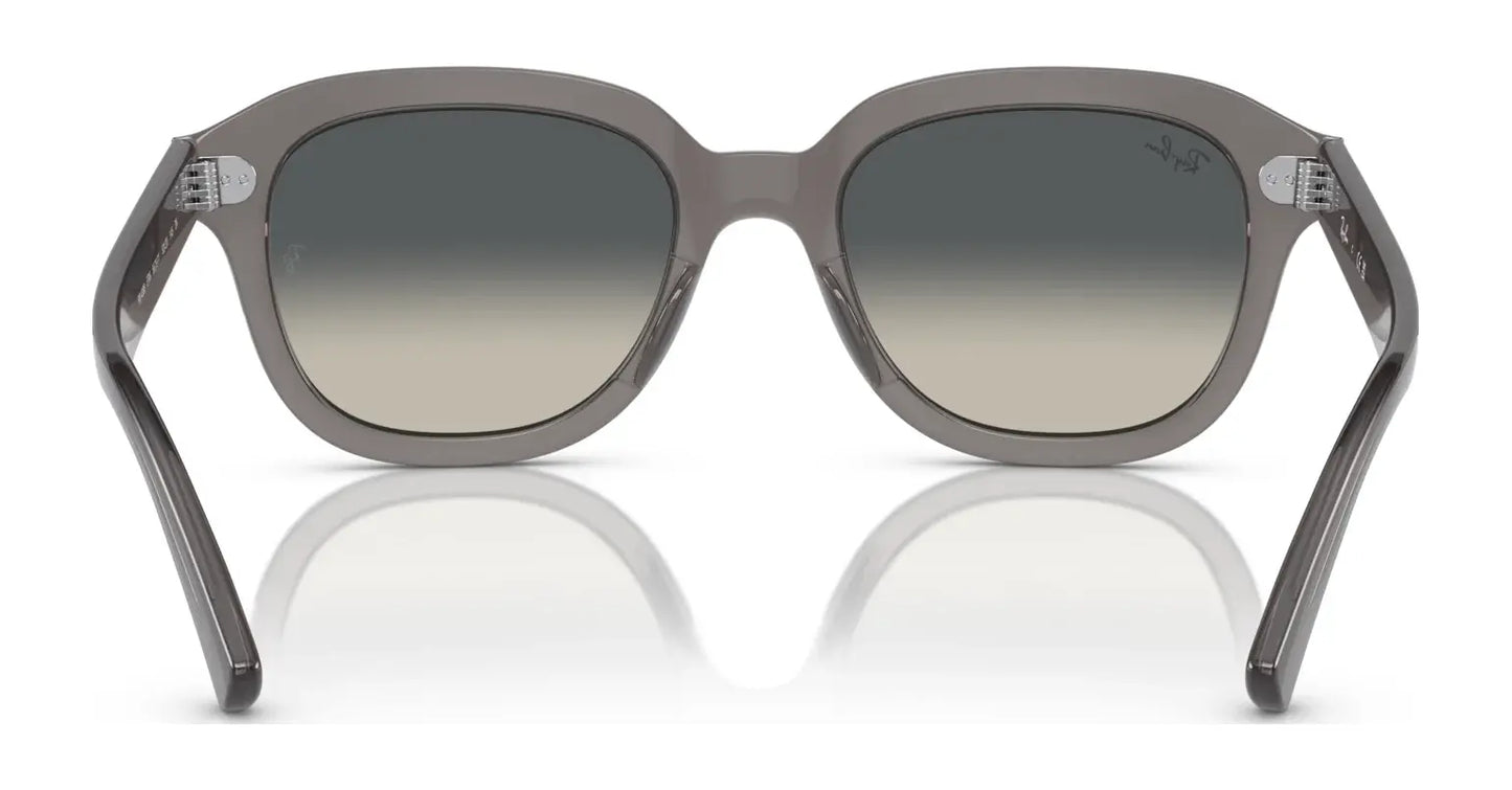 Ray-Ban ERIK RB4398 Sunglasses