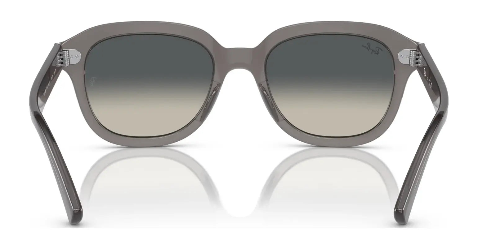 Ray-Ban ERIK RB4398 Sunglasses