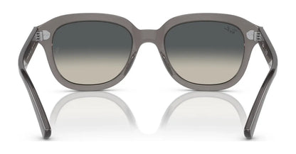 Ray-Ban ERIK RB4398 Sunglasses