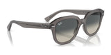 Ray-Ban ERIK RB4398 Sunglasses