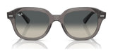 Ray-Ban ERIK RB4398 Sunglasses