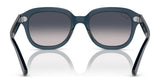 Ray-Ban ERIK RB4398 Sunglasses