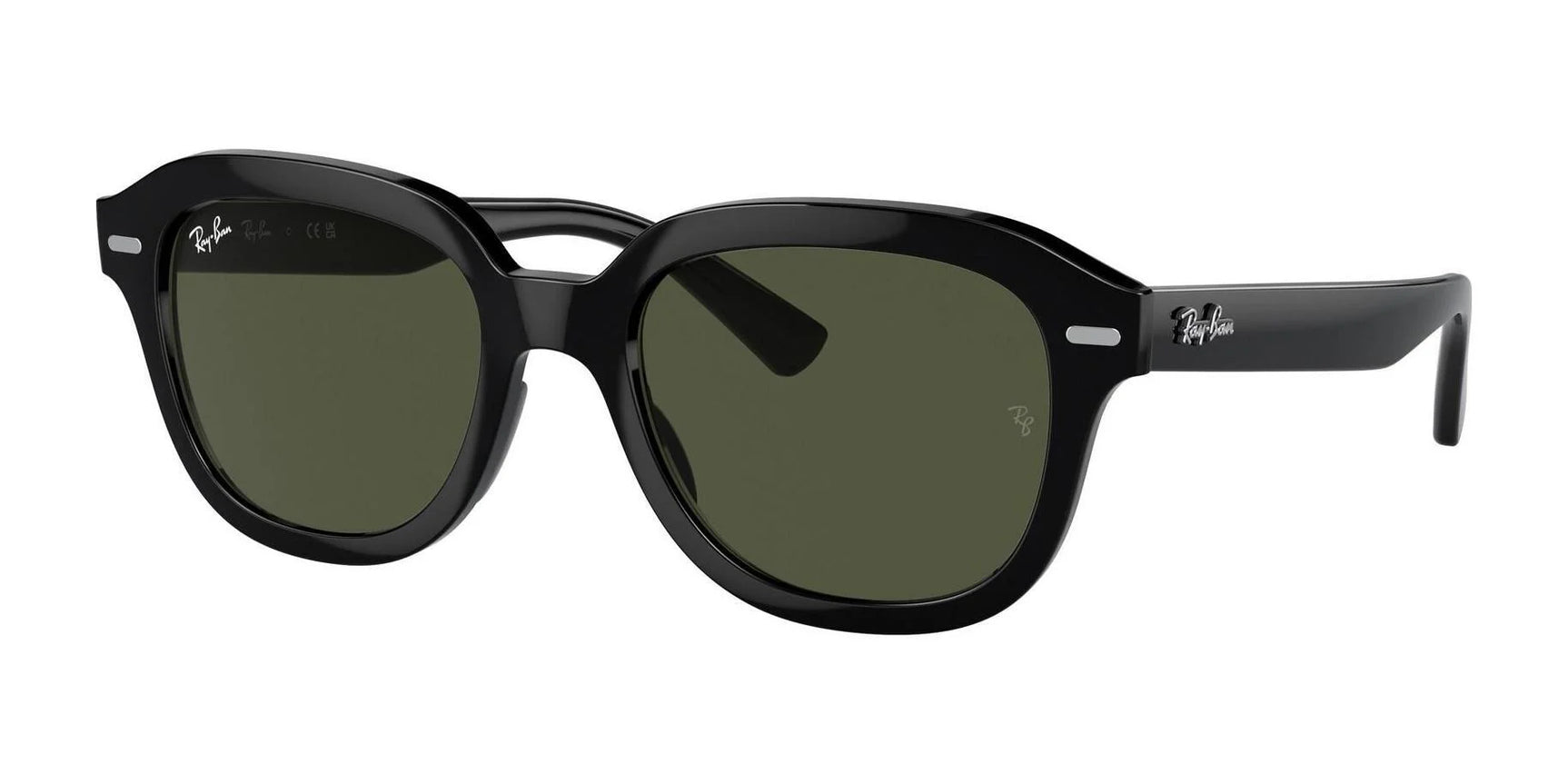 Ray-Ban ERIK RB4398 Sunglasses Black / Green