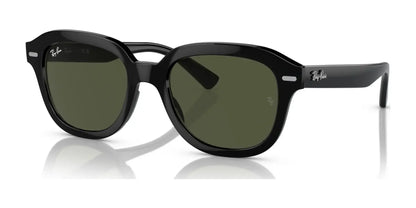 Ray-Ban ERIK RB4398 Sunglasses